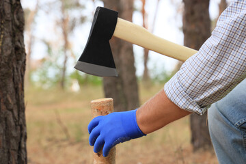 Forester with axe chopping wood in forest, closeup