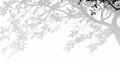 Shadows and Sunlight: A mesmerizing composition of tree shadows dancing across a neutral backdrop, capturing the essence of tranquility and nature's subtle beauty. 