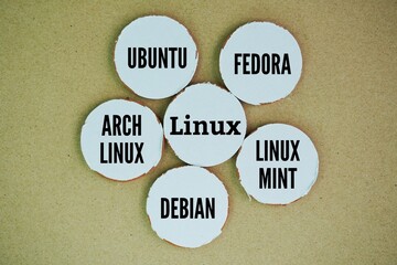 The five most popular Linux distributions are Ubuntu, Fedora, Linux Mint, Debian, and Arch Linux. These distros are favored for their ease of use, large community support, and wide range of applicatio