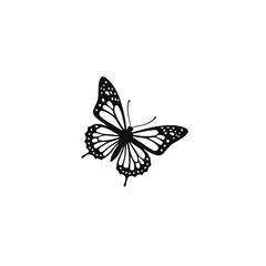 Obraz premium Ornamental Insect Butterfly in Flat Minimal Style