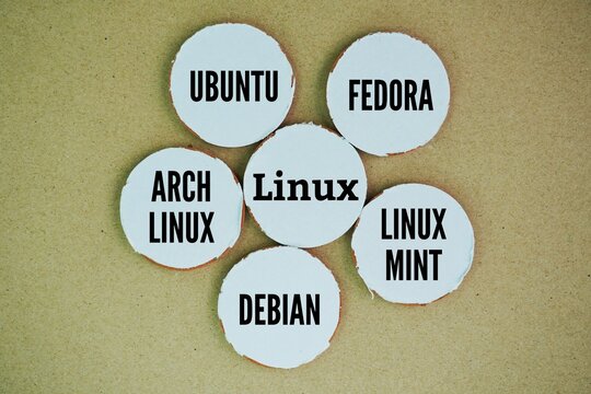 The five most popular Linux distributions are Ubuntu, Fedora, Linux Mint, Debian, and Arch Linux. These distros are favored for their ease of use, large community support, and wide range of applicatio