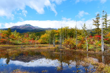 秋の乗鞍高原。松本、長野、日本。10月中旬。