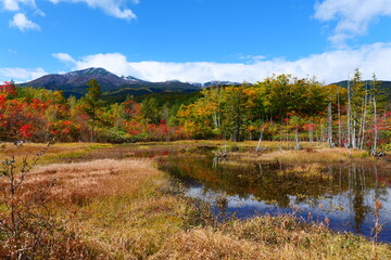 秋の乗鞍高原。松本、長野、日本。10月中旬。