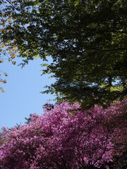 明暗フィルター