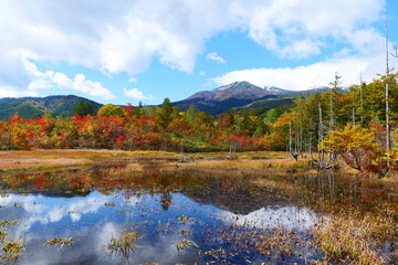 秋の乗鞍高原。松本、長野、日本。10月中旬。