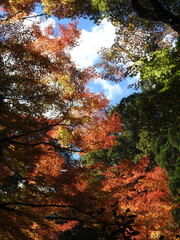 ビット数の敗北