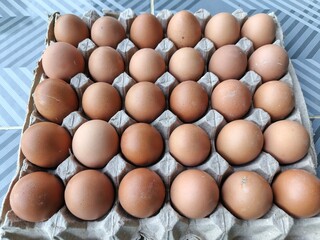 close up, a special carton shelf for chicken eggs is completely filled.