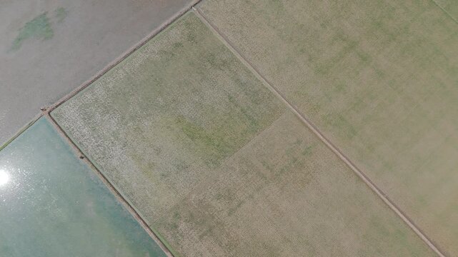 Aerial View of Farmland with Geometric Patterns