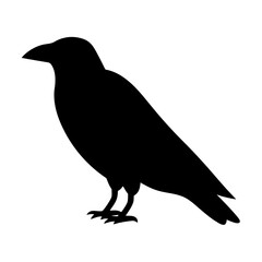 Black silhouette of a raven standing still in a cartoon style