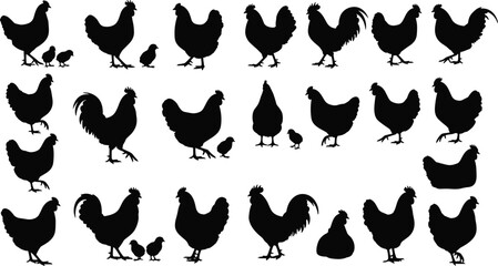 Naklejka premium Chicken, rooster, and chick silhouettes in various poses and groupings for farm and educational design
