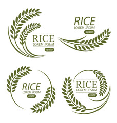 Rice. Logo design template vector illustration.