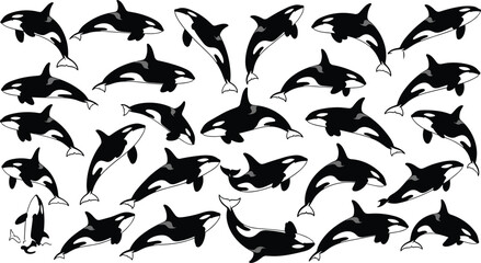 Orca whale silhouette collection showing various swimming, jumping, and diving poses — killer whale vector icons for marine life designs © PixelsWorld