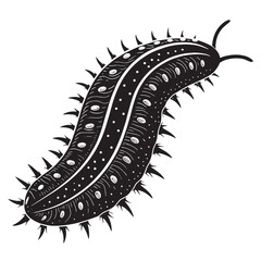 black sea cucumber Silhouette Vector, High Quality Illustration on White Background