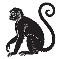 black spider monkey Silhouette Vector, High Quality Illustration on White Background
