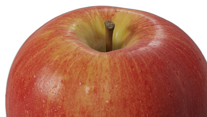 Red apple on white background