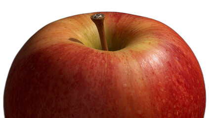 Red apple on white background