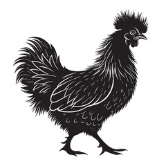 black silkie chicken Silhouette Vector, High Quality Illustration on White Background