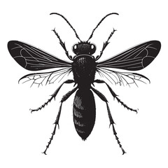 black tarantula hawk Silhouette Vector, High Quality Illustration on White Background