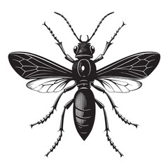 black tarantula hawk Silhouette Vector, High Quality Illustration on White Background