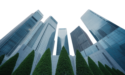 Towering glass skyscrapers rise above conifer trees, viewed from below