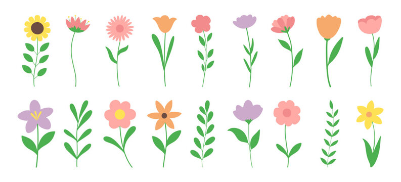Vibrant flower set with green leaves