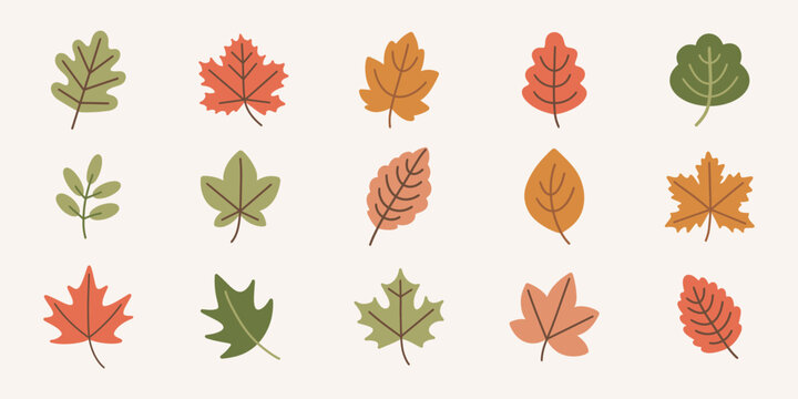 Autumn leaf vector set featuring oak maple chestnut
