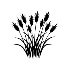 Wheat grass field silhouette