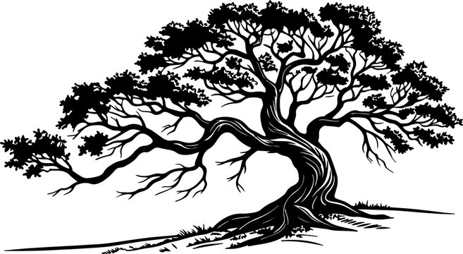 A stylized black and white illustration of a tree with a gnarled trunk.
