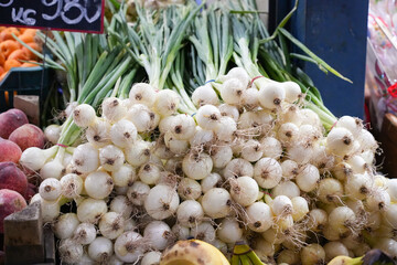 ハンガリー_ブダペスト中央市場