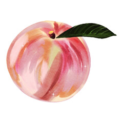 Peach Fruit Dessert Delicious Design Vector Illustration