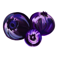Blueberry Fruit Berry Design Vector Illustration