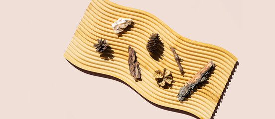 Fototapeta premium Natural elements collection found in the woods.