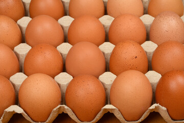 A close-up shot of brown eggs in a gray cardboard carton