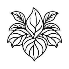 exotic foliage outline graphic on white background