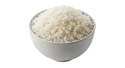 Isolated Rice Bowl