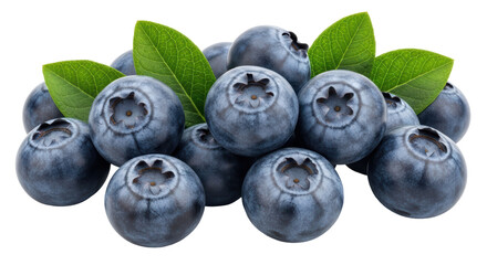 Isolated Pile of Blueberries