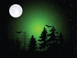 night landscape of jungle  with moon and stars