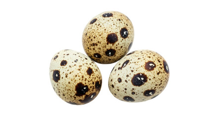 Isolated Quail Eggs