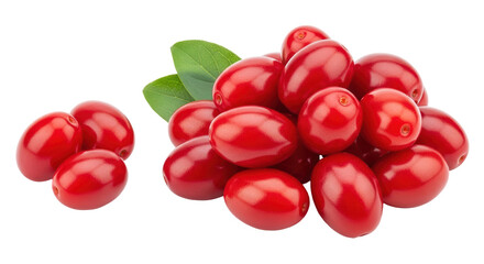 Isolated Pile of Red Dogwood Berries