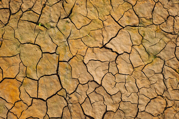 Cracked earth texture showing drought and climate change effects