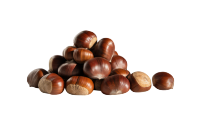 Shiny brown chestnuts piled loosely against a black background