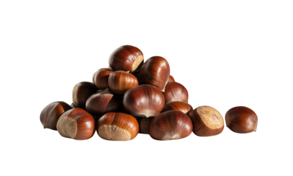 Shiny brown chestnuts piled loosely against a black background