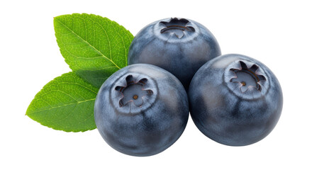 Isolated Fresh Blueberries Arrangement