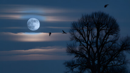 Mysterious night sky with full moon clouds silhouette tree and flying birds