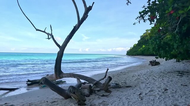Beautiful Kalapathar beach in Havelock, Andaman, India