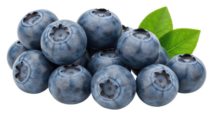 Isolated Heap of Blueberries