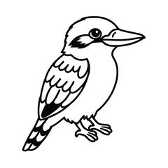 Fototapeta premium simple kookaburra drawing vector on white background