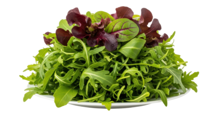 Isolated Salad Mix