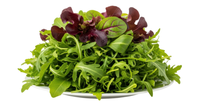 Isolated Salad Mix