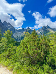 High Tatras peaks, lush greenery valley under clear sky. Yellow hiking trail Zelene Pleso (green lake) mountain lake in High Tatras, Slovakia, yellow hiking trail.